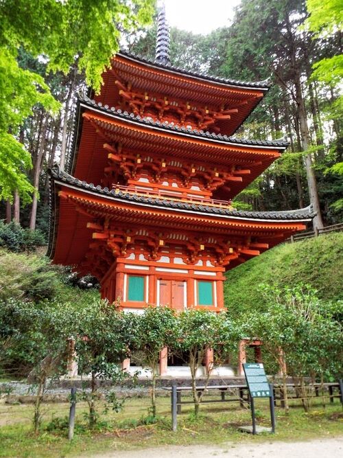日本画 京都 岩船寺宵桜 三重塔 内田英湖 美術品・アンティーク