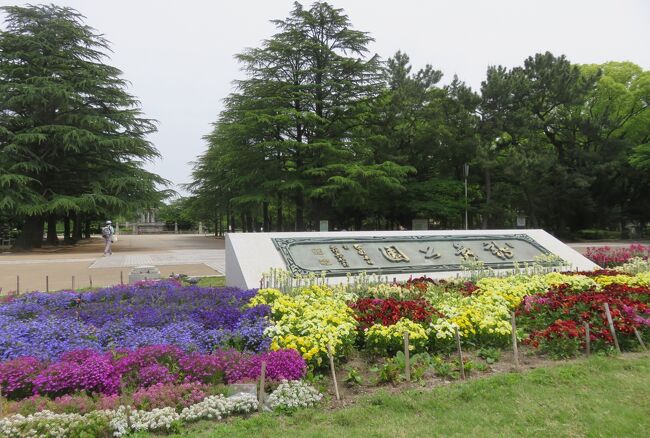 名古屋のバラの名所の一つ、鶴舞公園のバラ園の紹介です。