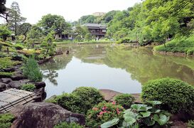 江戸川橋散策・・肥後細川庭園と関口芭蕉庵、江戸川公園をめぐります。