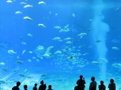 ロードスターで沖縄漫遊・美ら海水族館