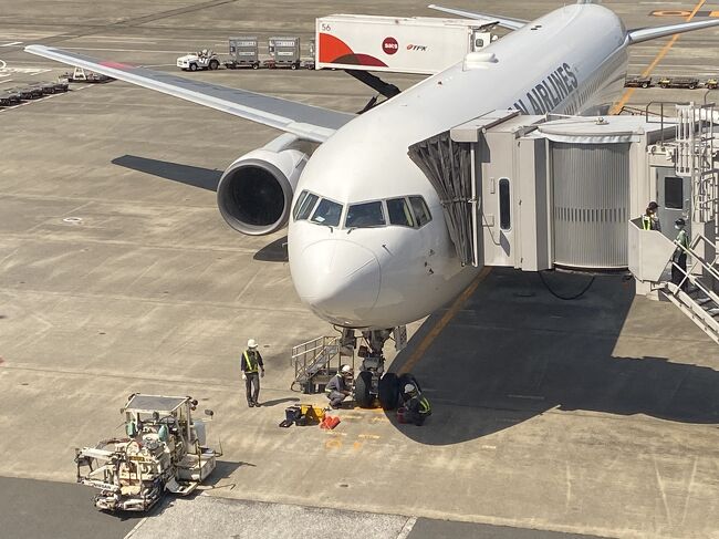 久しぶりにJALに乗って出雲へ出張。いつもながら、数時間の滞在で大阪へ。<br />大阪に2泊し金曜日、早朝東京へ戻って来た。<br />一泊目の夜は一人で3軒ハシゴして午前様。<br />二泊目の夜は、会社の人間と飲み会。流石に昨日の疲れがあったので、大人しく1軒でホテルへ<br />翌日、朝6:42の新幹線で帰京。
