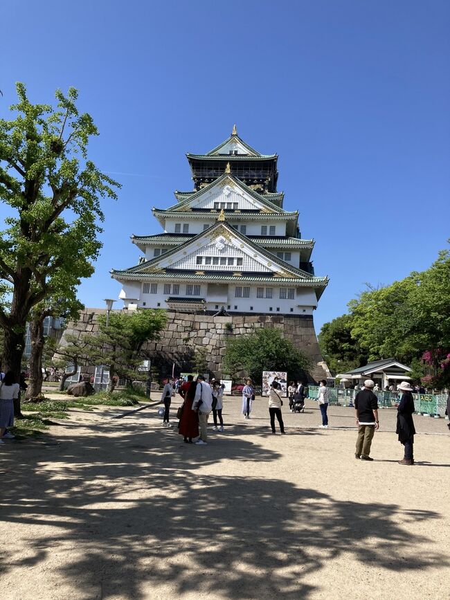 本当に久しぶりに孫と一緒に大阪城へ行ってきましたお天気は最高に良かったです大阪城の全景がじっくりと見えました今思い出しすと遠足は大阪城だったなぁと感傷にふけっていました。