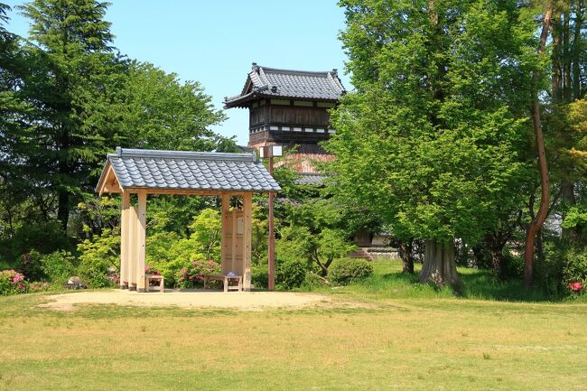 越後府跡は小高い丘の上にあり北東隅に矢倉が復元され池の庭があるだけでした。建物は入ることはできなく見るだけのものです。駐車場はなく近くのスーパーの駐車場を利用しました。