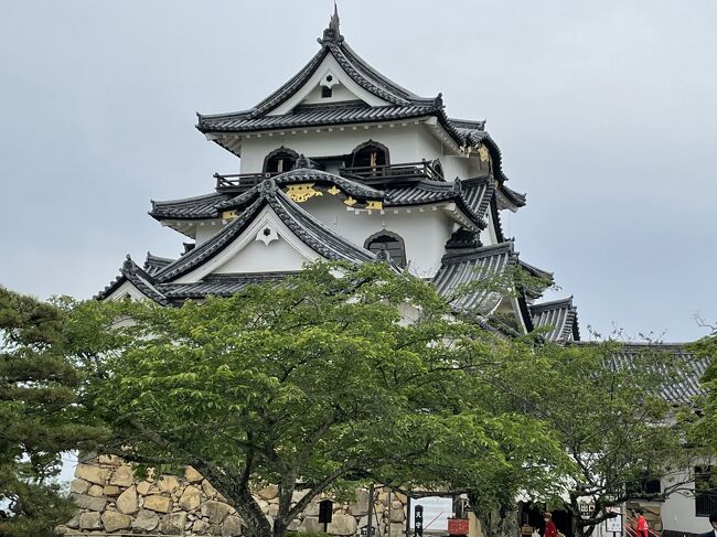 2022年05月　滋賀県琵琶湖湖東の城跡・古戦場巡り旅<br /><br />5/16  賤ケ岳古戦場　長浜城<br /><br />5/17  彦根城　安土城跡<br /><br />この旅行記は　彦根城