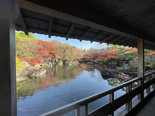 ***世界遺産登録記念日に姫路観光 その③姫路市立美術館・好古園・姫路文学館***