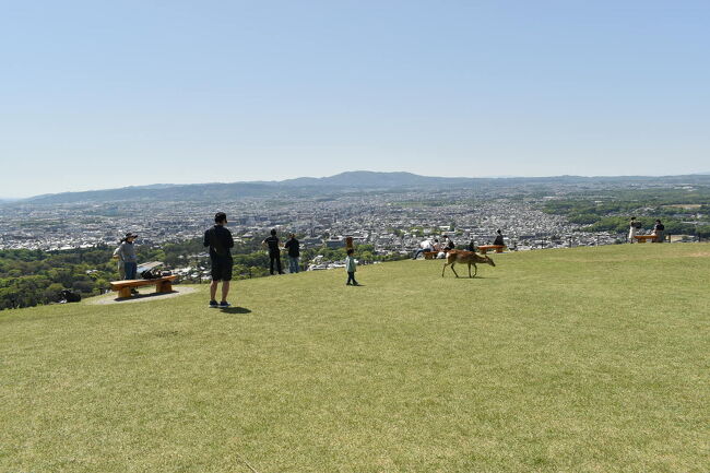 春日大社~若草山~東大寺、からの大阪上本町!