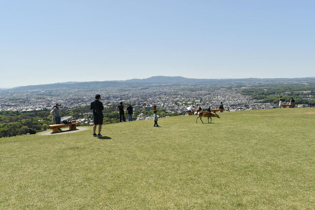 春日大社～若草山～東大寺、からの大阪上本町！