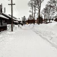 札幌1泊２日の大雪の旅：1 娘たちも大喜び！大雪の中の開拓の村 