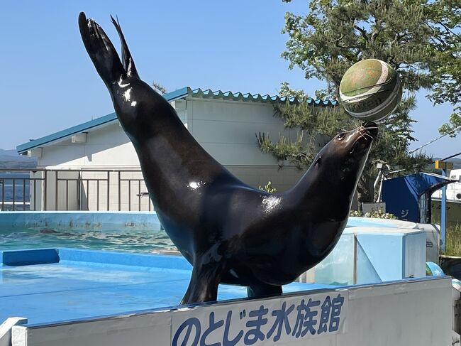長良川温泉『鵜匠の家すぎやま』でおいしい朝食を食べた後は、富山経由で石川県へ。パパさんが能登島の水族館に行きたいと言うので、「先月、名古屋港水族館に行ったばかりなのに」と思いつつ初めての能登島へ。天気がよかったので、能登島大橋からの景色は最高でした。小さな水族館だと思い、あまり期待していなかったのですが、ジンベエザメの展示やイルカやアシカショーなど、生き物を間近で見られたり。手作り感のある催しもあれば、プロジェクションマッピングなど最新の設備もあったりと、とても楽しめました。<br />わたしの中ではイチオシの水族館になりました。<br />千里浜なぎさドライブウェイは本日は残念ながら一部区間しか走行できませんでしたが、波打ち際を車で走れて爽快でした。この後、金沢のホテルに向かいます<br />