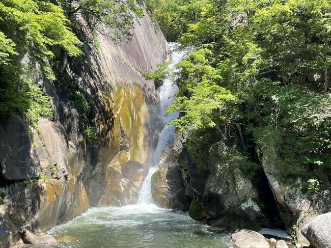 社会人になった娘との初旅行は日帰りバスツアー。色々と見たのですが、結局HISの「さくらんぼ大感謝祭inやまなし☆さくらんぼ狩り食べ放題！さくらんぼ1パック＆さくらんぼ尽くしスイーツのお土産！新緑輝く日本一の渓谷美「昇仙峡」」に行ってきました。当日は晴天、そして満席。今月山梨は2回目ですが、新緑の季節を楽しんできました。<br /><br />5/28(土）7:40新宿発　昇仙峡　ランチ（山梨FUJIフルーツパーク）シャトー勝沼　さくらんぼ狩り　ハーブ庭園旅日記勝沼庭園　18：55新宿着