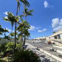5泊7日のハワイ旅行【6日目:ホノルルから羽田へ】
