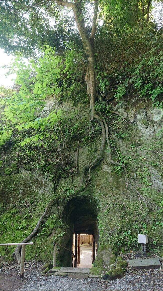 北鎌倉の浄智寺等を散策。やぐらと自然の鮮やか緑が美しい。