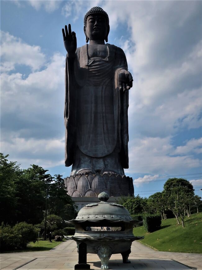 牛久大仏（正式名称：牛久阿弥陀大佛）は、茨城県牛久市にあるブロンズ（青銅）製大仏立像で、全高120メートル（像高100ｍ、台座20ｍ）あり、立像の高さは世界で6番目。ブロンズ立像としては世界最大。<br /><br />牛久大仏は1986年に着工、1993年に完成した。事業主体は浄土真宗東本願寺派本山東本願寺。東本願寺派の霊園である牛久浄苑のエリア内に造られた。その姿は同派の本尊である阿弥陀如来像の形状を拡大したものである。<br /><br />全高120メートル（像高100ｍ、台座20ｍ）を誇り、奈良の大仏（像高14.98m）が掌に乗り、アメリカ合衆国ニューヨーク州にある自由の女神像（全高93ｍ、手を掲げた姿勢の像高46m）の実質的な像高（足元から頭頂までの高さ33.86ｍ）の3倍近くの大きさである。<br />地上高世界最大の&quot;ブロンズ製&quot;人型建造物（仏像）であり、ギネス世界記録には「世界一の大きさのブロンズ製仏像」として登録されている。<br /><br />施工は川田工業による。建築にあたっては主に高層ビルで用いられるカーテンウォール工法が採用された。まず中央に、大仏全体の重量を支える役割を果たす鉄骨の主架構を組み上げる。次に、主幹の役割を果たすこの鉄骨の周囲に、枝を生やすように、あらかじめ地上で作っておいたブロックを組み合わせていく。<br />高さ100ｍの仏像本体は20段の輪切り状に分割して設計されており、さらにそれぞれの輪切りが平均17個のブロックに分割されている。加えて、各ブロックは平均1.5メートル四方の青銅製の板金を9枚程度並べて溶接し、下地となる鉄骨と組み合わせることで作成された。この下地鉄骨が、複雑な形状をとりながら主架構と青銅板との間を繋ぎ、樹木でいうところの「枝」に相当する役割を果たしている。<br /><br />仏像表面の青銅板は葉のように浮いているだけであり、巨大な質量を支える必要がないため、6ミリメートル程度の厚みしかない。これは、銅板で全体の重量を支える奈良の大仏などとの大きな違いである。<br />特に形状が複雑な両手部分についても、別に地上で組み上げ、巨大クレーンを用いて吊り上げられた。<br />像の表面には、これを覆うための6,000枚以上の青銅板が用いられている。そのため、像の表面を注意深く見れば正方形のタイル状の継ぎ目を確かめることができる。これらブロックの継ぎ目部分には隙間があり、台風や地震、気象変化による板金の伸び縮みに対して構造上の余裕を持たせる役目を果たしている。<br /><br />大仏の胸部にあたる地上85ｍまではエレベーターでのぼることが可能で、周囲の景色を展望することができる。<br />ただし、像自体の美観の問題から広々とした展望台は設けられておらず、胸部からの景色はスリット状に設けられた小窓から見ることになる。<br />像の基本情報<br />構造：青銅板張立像　　全高（地上高）：120ｍ　<br />像高（本体の長さ）：100ｍ　台座の高さ：20ｍ総重量：4,000トン<br />顔の長さ：20.0メートル　　螺髪（総数：480個。）<br /><br />内部にはパネル展示等があり、歴史や仏教の世界について学ぶ事ができる。<br />1階：光の世界<br />観想の間：浄土の世界を観想する（思い描く）空間。<br />2階：知恩報徳の世界<br />念仏の間：毎週土曜日、ここで法話がある。阿弥陀如来への報恩感謝の気持ちを籠めて写経を行う空間。写経席は77席。<br />3階：蓮華蔵世界<br />約3,300体の胎内仏に囲まれた金色の世界。「蓮華蔵世界」とは極楽浄土のこと。<br />4・5階：霊鷲山の間<br />ここには仏舎利（釈尊の遺骨）が安置されており、参拝できる。また、四方に窓があり、東西南北を見渡せる。<br />（フリー百科事典『ウィキペディア（Wikipedia）』より引用）<br /><br />牛久大仏　については・・<br />https://daibutu.net/<br /><br /><br /><br />