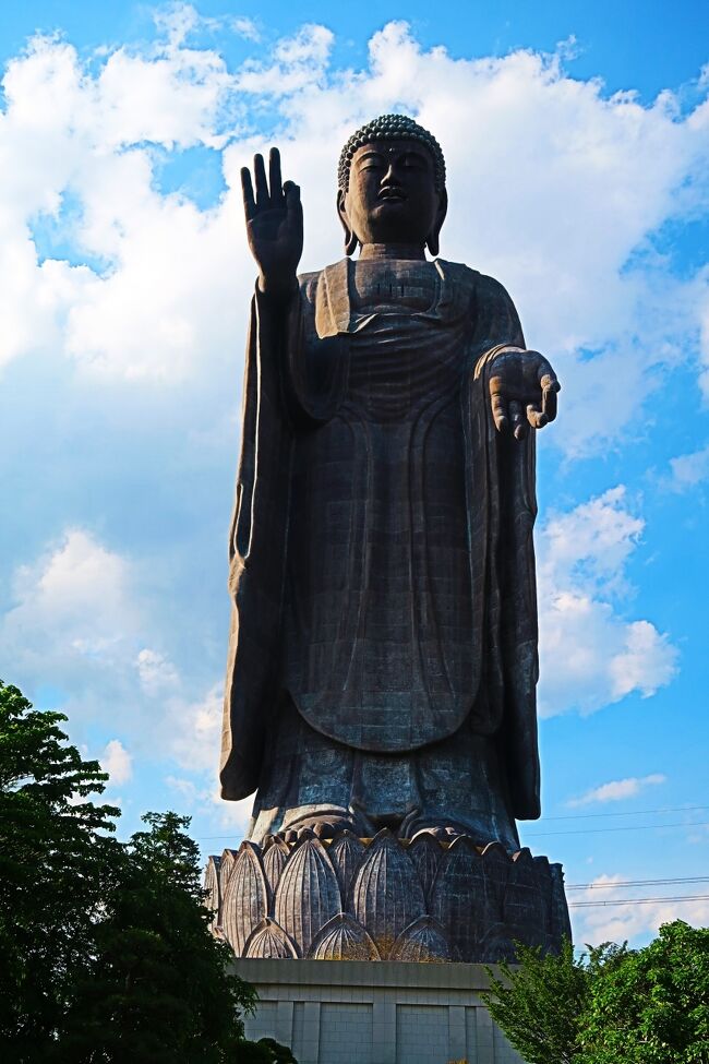 牛久大仏（正式名称：牛久阿弥陀大佛）は、茨城県牛久市にあるブロンズ（青銅）製大仏立像で、全高120メートル（像高100ｍ、台座20ｍ）あり、立像の高さは世界で6番目。ブロンズ立像としては世界最大。<br /><br />牛久大仏は1986年に着工、1993年に完成した。事業主体は浄土真宗東本願寺派本山東本願寺。東本願寺派の霊園である牛久浄苑のエリア内に造られた。その姿は同派の本尊である阿弥陀如来像の形状を拡大したものである。<br /><br />全高120メートル（像高100ｍ、台座20ｍ）を誇り、奈良の大仏（像高14.98m）が掌に乗り、アメリカ合衆国ニューヨーク州にある自由の女神像（全高93ｍ、手を掲げた姿勢の像高46m）の実質的な像高（足元から頭頂までの高さ33.86ｍ）の3倍近くの大きさである。<br />地上高世界最大の&quot;ブロンズ製&quot;人型建造物（仏像）であり、ギネス世界記録には「世界一の大きさのブロンズ製仏像」として登録されている。<br /><br />施工は川田工業による。建築にあたっては主に高層ビルで用いられるカーテンウォール工法が採用された。まず中央に、大仏全体の重量を支える役割を果たす鉄骨の主架構を組み上げる。次に、主幹の役割を果たすこの鉄骨の周囲に、枝を生やすように、あらかじめ地上で作っておいたブロックを組み合わせていく。<br />高さ100ｍの仏像本体は20段の輪切り状に分割して設計されており、さらにそれぞれの輪切りが平均17個のブロックに分割されている。加えて、各ブロックは平均1.5メートル四方の青銅製の板金を9枚程度並べて溶接し、下地となる鉄骨と組み合わせることで作成された。この下地鉄骨が、複雑な形状をとりながら主架構と青銅板との間を繋ぎ、樹木でいうところの「枝」に相当する役割を果たしている。<br /><br />仏像表面の青銅板は葉のように浮いているだけであり、巨大な質量を支える必要がないため、6ミリメートル程度の厚みしかない。これは、銅板で全体の重量を支える奈良の大仏などとの大きな違いである。<br />特に形状が複雑な両手部分についても、別に地上で組み上げ、巨大クレーンを用いて吊り上げられた。<br />像の表面には、これを覆うための6,000枚以上の青銅板が用いられている。そのため、像の表面を注意深く見れば正方形のタイル状の継ぎ目を確かめることができる。これらブロックの継ぎ目部分には隙間があり、台風や地震、気象変化による板金の伸び縮みに対して構造上の余裕を持たせる役目を果たしている。<br /><br />大仏の胸部にあたる地上85ｍまではエレベーターでのぼることが可能で、周囲の景色を展望することができる。<br />ただし、像自体の美観の問題から広々とした展望台は設けられておらず、胸部からの景色はスリット状に設けられた小窓から見ることになる。<br />像の基本情報<br />構造：青銅板張立像　　全高（地上高）：120ｍ　<br />像高（本体の長さ）：100ｍ　台座の高さ：20ｍ総重量：4,000トン<br />顔の長さ：20.0メートル　　螺髪（総数：480個。）<br /><br />内部にはパネル展示等があり、歴史や仏教の世界について学ぶ事ができる。<br />1階：光の世界<br />観想の間：浄土の世界を観想する（思い描く）空間。<br />2階：知恩報徳の世界<br />念仏の間：毎週土曜日、ここで法話がある。阿弥陀如来への報恩感謝の気持ちを籠めて写経を行う空間。写経席は77席。<br />3階：蓮華蔵世界<br />約3,300体の胎内仏に囲まれた金色の世界。「蓮華蔵世界」とは極楽浄土のこと。<br />4・5階：霊鷲山の間<br />ここには仏舎利（釈尊の遺骨）が安置されており、参拝できる。また、四方に窓があり、東西南北を見渡せる。<br />（フリー百科事典『ウィキペディア（Wikipedia）』より引用）<br /><br />牛久大仏　については・・<br />https://daibutu.net/<br />