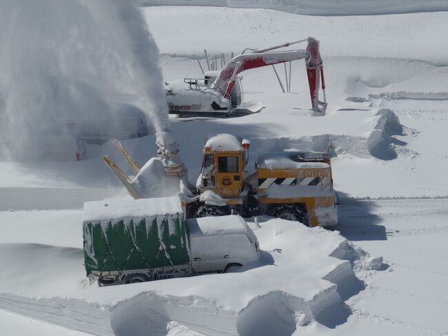 以前から雪の大谷が見たくて、バスの運行が始まって直ぐに富山へ行きました。いつ頃雪が溶けるかも知識がないので、早く現地へ行く方が確実に雪の大谷を見る事が出来ると考えて旅行計画を立てて行きました。雪の大谷を見る事が出来ましたが、結論から申し上げますと、もう少し時期をずらすべきだと言う結果でした。その顛末の旅行記です。