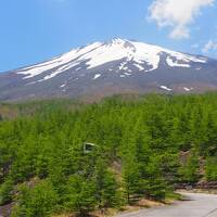 富士山東南麓１泊２日 水源を辿る旅