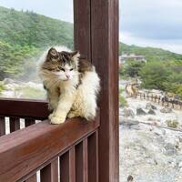 長崎は今日も雨だった～♪バスで巡る天草・島原の旅【3】キリシタン殉教の地、雲仙地獄編