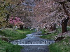 チャリと行く春の花旅東日本 2022 /６日目(4/27)後編