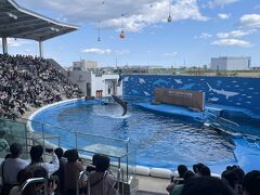 夫婦2人で仙台旅行3泊4日_4日目（西公園・ せんだいメディアテーク・仙台うみの杜水族館）