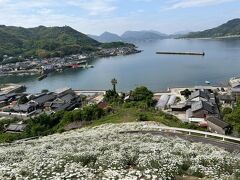 ２０２２　GW・お花見ドライブ再び～因島で満開の除虫菊に癒やされる～