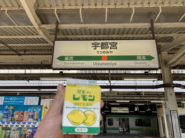新幹線に乗って宇都宮に来ました。<br />ここに来たのはレモン(牛乳)を飲むためではなく、盲腸線の烏山線に乗るためです。<br />また、以前、北関東を回った際に鹿島神宮での御神籤が凶だったことに起因する、失意と雨に負けて鹿島~香取すっ飛ばし未乗区間の乗り潰しです。<br />https://4travel.jp/travelogue/11431788<br />今晩は成田に泊まって明日の始発乗車を予定します。