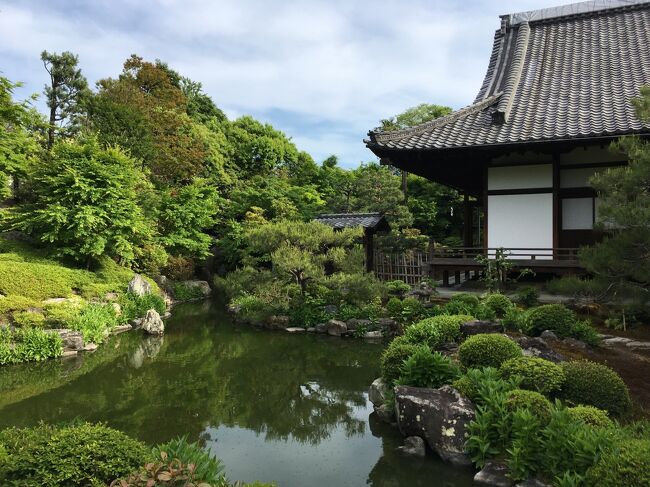 南禅寺界隈別荘群の傑作、非公開の對龍山荘の見学会を見つけて申し込んだので、GWの最終日に京都に１泊。<br />飛び石連休で最長10連休とあって混雑を予想していましたが、休みが長すぎたせいか終盤は意外にも静か。<br />せっかくなので、京セラ美術館と京都国際写真祭も巡ってみました。<br /><br />私が利用した對龍山荘の見学会。<br />2022年秋の開催が決定しました。リンクを貼っておきます。<br />https://www.nhk-cul.co.jp/nhkcc-webapp/web/WKozaKensakuAc.do?wbKozaKensakuAcJoken.kensakuHoho=6&amp;wbKozaKensakuAcJoken.shishaId=5100&amp;wbKozaKensakuAcJoken.chuKategoriId=1&amp;wbKozaKensakuAcJoken.daiKategori=%93%C1%95%CA%81%45%92%5A%8A%FA%81%451%93%FA%8D%75%8D%C0&amp;wbKozaKensakuAcJoken.chuKategori=%93%C1%95%CA%8D%75%8D%C0%81%45%8D%75%89%89%89%EF