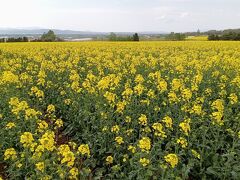 春の砂川、スイーツめぐり。甘い春を満喫。