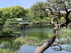 新緑の清澄庭園と寺院旅　霊厳寺~本立院~善応院~浄心寺~和合稲荷~円珠院~間宮林蔵墓~龍光院~雲光院~シルクリバー~エルエスカフェ~西深川橋