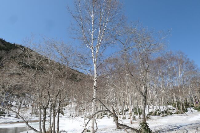 2022年4月27日-5月8日、毎年恒例ゴールデンウィークの上信越に行きました♪<br />春の山岳風景、残雪の輝く景色、グルメをたっぷりと楽しんできました♪<br /><br />☆Vol.25：万座温泉♪<br />今日は万座温泉へ。<br />今朝は晴れ渡り、<br />鬼押し出しから季節外れの新雪を被った美しい浅間山。<br />そこからハイウェイで万座温泉へ。<br />ゲートを越えてさらに上っていくと、<br />古い雪があちこちと増えていく。<br />見上げると山々は新雪に覆われている。<br />弦ヶ池で休憩。<br />周囲は残雪が広がり、<br />美しい雪景色。<br />雪の上をゆったりと歩く。<br />ゆったりと眺めて♪