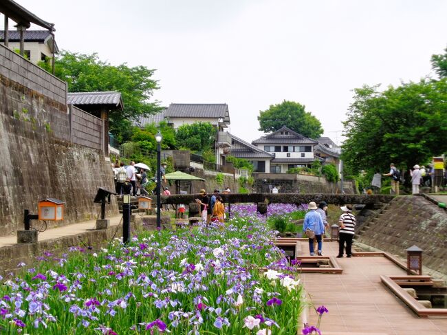 高瀬裏川花しょうぶまつり ＆ 玉名温泉尚玄山荘