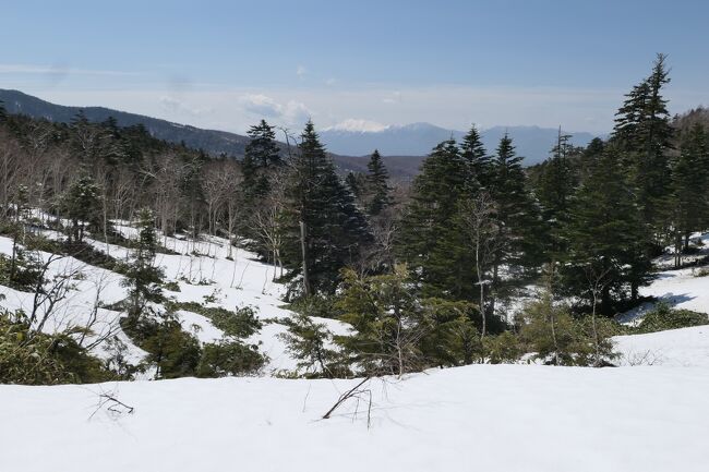 2022年4月27日-5月8日、毎年恒例ゴールデンウィークの上信越に行きました♪<br />春の山岳風景、残雪の輝く景色、グルメをたっぷりと楽しんできました♪<br /><br />☆Vol.31：万座温泉♪<br />今日は万座温泉へ。<br />万座温泉は40年ぶり。<br />季節外れの新雪を被った美しい浅間山。<br />美しい雪景色が広がる弦ヶ池。<br />硫黄のにおいが立ち込め蒸気が立ち昇る万座空吹。<br />展望台から万座温泉のパノラマ。<br />残雪が広がる湯畑。<br />万座峠へ。<br />万座峠は長野県と群馬県の境界にある尾根。<br />このため、群馬県側と長野県側の雄大なパノラマを楽しめる。<br />万座山をはじめ、志賀高原の山々は新雪に覆われた白銀世界。<br />遠くに北アルプスも見える。<br />群馬側は浅間山の連峰が美しい。<br />ゆったりと歩いて眺めて♪