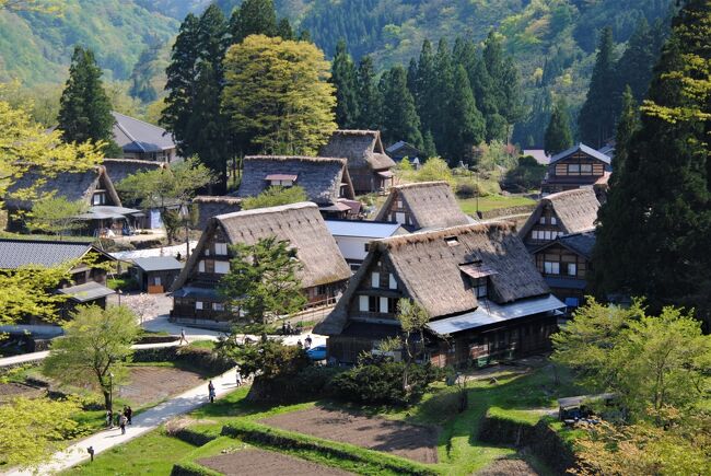 富山県内を色々巡ってきましたが、奇跡的にGWに越中五箇山の合掌造りのお宿の予約ができたことが今回の旅行の基本になりました。<br /><br />越中五箇山に入り、菅沼合掌集落を訪れた後は、相倉合掌造り集落に。<br />この日はココに泊まって合掌集落を満喫しました。<br /><br />相倉合掌造り集落も江戸時代から明治中期に建てられており、現在では20棟現存してます。<br />「合掌」は、左右の掌を合わせた腕の形。<br />言われて（読んで）みて気づきました。<br />三角形の茅葺屋根は他の地域のかやぶき屋根と全く異なります。<br />60度もの急勾配になっており、正三角形です。<br />釘は一切使わず組み立てられています。<br /><br />広い屋根裏での養蚕や、土間での和紙作り、床下での塩硝作りなど、合掌造りの家は、住処であると同時に仕事場でもありました。<br />人々の生きる知恵が生んだ合理的な建築なんですね。<br /><br />昭和10年（1935）に白川郷を訪れたドイツ人建築家ブルーノ・タウトは、「建築学上極めて論理的、合理的である」と称賛し、世界からも注目を集めることとなりました。<br /><br />この合掌造りのお宿（与茂四郎）に泊めていただきました。<br />1日2組限定の人気のお宿で、なかなか予約ができませんが、奇跡的にGWに予約できました。<br />今回、富山旅行を決めたのはお宿（与茂四郎）が予約できたからです。<br /><br />やさしい奥様の手の込んだ美味しい地元のお食事。<br />ご主人のお話。<br />民謡「こきりこぶし」も聞かせていただきました。<br /><br />リピありです。