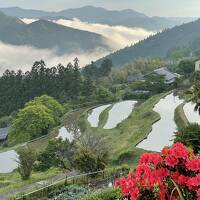「旅籠まさら」に泊まり、熊野古道を愉しむ