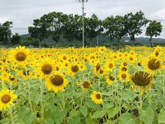 2022年ゴールデンウィークの石垣＆黒島旅行④