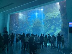 桃園XPARK(横浜八景島水族館)