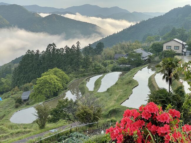 ３週間の和歌山フィールドワークの途中、熊野古道の中辺路を自転車でなぞるべく、近露から紀伊田辺までサイクリング。途中、高原地区の旅籠まさらに宿泊し、紀伊山地ならではの自然を楽しみました。