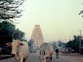 【1995年のインド】南インド プネーの町
