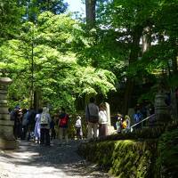 コロナちゃんと一緒　22年5月北武蔵　三峯神社：完全復活。武蔵御嶽神社：最強のバリアは階段。ホテルで新兵器発見。