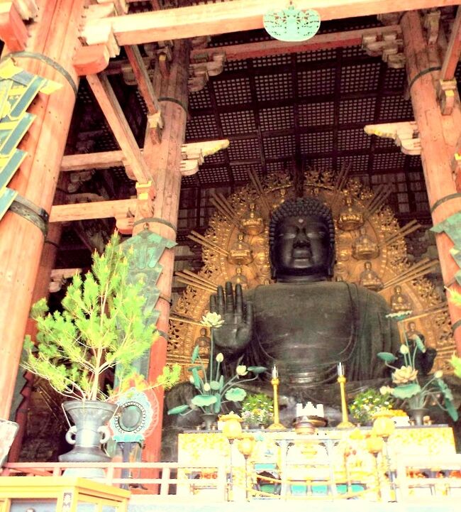 　東大寺の続きです。大仏殿は唯一撮影が許可されている処なので、大仏様のあらゆる角度から写真を撮りまくっていました。