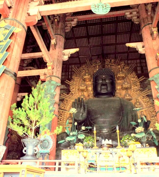 東大寺の続きです。大仏殿は唯一撮影が許可されている処なので、大仏様のあらゆる角度から写真を撮りまくっていました。