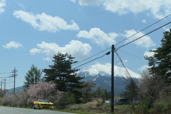春の上信越バカンス♪　Vol.35 ☆雪の浅間山と桜の嬬恋村♪