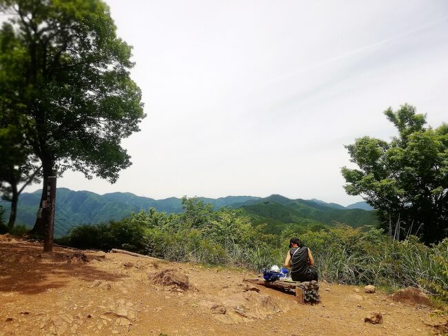 ４月、５月は行楽シーズンですが、今年はいつになく天候が不順でした。６月１日は天気が良さそうだったので、１年ぶりに奥多摩に行くことに。高水山はその付近のふたつの山を合わせて、高水三山と呼ばれ、手ごろなハイキングコースになっているようなので、ここを訪れました。今回は単独行です。