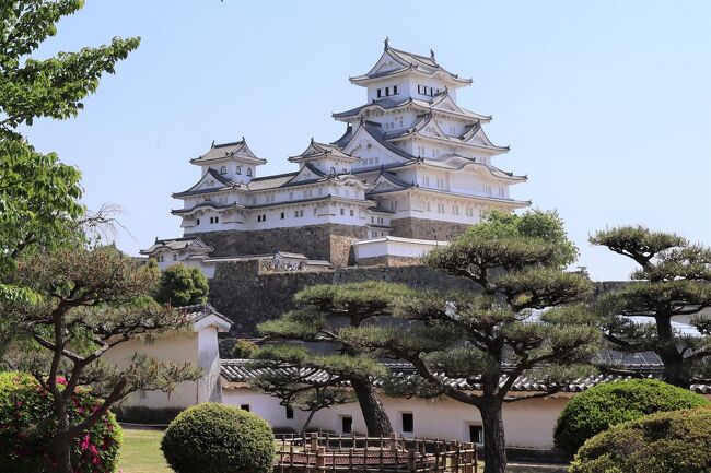 国宝の城（姫路城、彦根城、犬山城、松本城、松江城）のうち、これまで唯一訪れていなかった姫路城にやっと行くことが出来ました。別称「白鷺城」は慶長14年(1609年)建築、400年程前にこのような優美な建築物が完成したと思うと感無量です。さすがの存在感を示す世界文化遺産、しかし、姫路駅界隈からフツーに見える姿は庶民的な感じがします。<br /><br />GWまっただ中、入城混雑待ちが十分予想されたので開門9:00の少し前に到着するように行きました。150ｍほどの行列最後尾も意外とスムーズに入城できました。入城料は大人1,000円ですが、それを超越する価値と大きな感動が…。ぜひ一度、お立ち寄り下さい。<br />