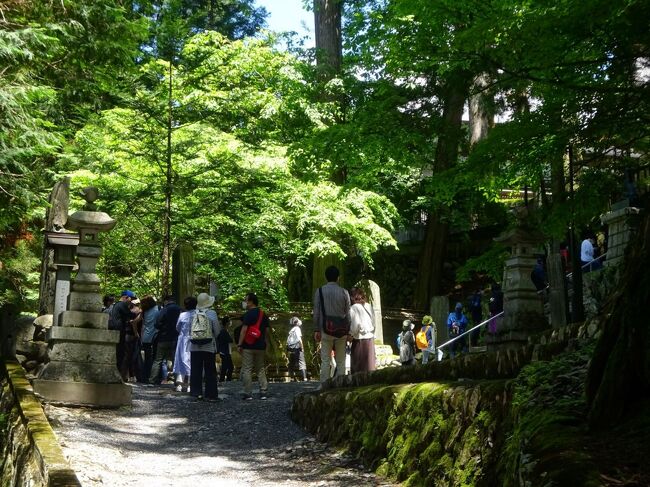 更新記録22／6／4：文末に自動ご飯よそい機情報追加。<br /><br />5月28日－31日、埼玉県深谷のハナホテル花園インターに3連泊して、北武蔵の寺社を旅してきました。例によってまずコロナちゃんとの共存具合をレポート。<br />イキのいいうちに速報です。<br /><br />立ち回り先は、いつものように観光客は行かない神社、古墳がほとんど。こちらはコロナちゃんとはそもそも無縁ですので割愛します。<br />BSテレビ、健康食品の通販コマーシャルの端っこに、読めない小さな字で出ています。「個人の感想です」<br />最初に堂々と宣言するこの潔さ！<br />