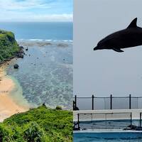 イルカのジャンプと浜比嘉島と果報バンダに訪れてみてください（美ら海水族館→浜比嘉島編）