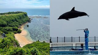 イルカのジャンプと浜比嘉島と果報バンダに訪れてみてください（美ら海水族館→浜比嘉島編）