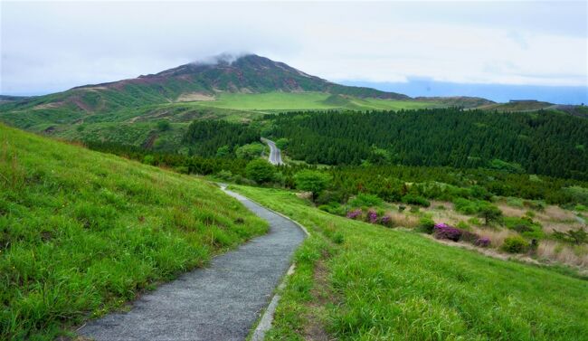 ここ最近は、ずっと山の中や林の中を歩いていたので、どこか広い景色を眺めながらトレッキングをしたいと思っていました。<br /><br />1月に屋久島にトレッキングに行った後、屋久島に魅了され一週間後には再びJALのダイナミックツアーで4月の予約をしてしまっていました。<br /><br />でも、広い景色を見ながら歩きたい欲望は消えません。いろいろな場所を検索していると、礼文のスコトン岬の美しい景色を見つけました。6月からはウニが解禁で梅雨のない北海道。早速調べてみましたが、今年はウニが不漁で好みのホテルが見つからないし高い、遠い。<br /><br />う～ん4月にも屋久島行くし。結局ちょっと違うけど広い景色を眺めながら歩ける阿蘇へ行くことにしました。そしてウニは赤牛丼に代わりました。<br /><br />二日目に阿蘇五岳の中でも登りやすい杵島岳に登りました。<br /><br />滞在中はずっと天気が曇りで、霧が深く三日目に登った中岳は、途中霧で周りが見えなくなり、ゴツゴツした岩に囲まれ少し怖くなりました。残念ながら登山初心者には危険に思われやむなく途中下山を決めました。天気のいい日に再挑戦できたらいいなと思います。