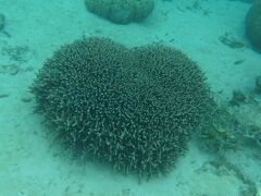 海散歩　石垣島　白保の休日　のんびり集落ステイ