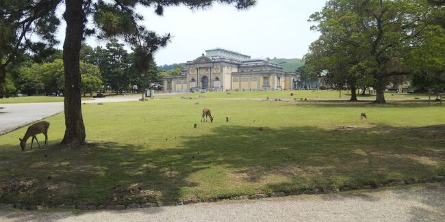 五日間かけて古都風情を楽しもうと、最初の三泊は奈良駅近くのホテルアジール奈良、神戸の友人が来た後は奈良ホテルに二泊する。一応見るべき所は見て回ったと思っている。毎日よく歩いて一日平均9,000歩、法隆寺方面に行った日は14,000歩、歩いた。何れのホテルも居心地は良く、奈良の食事も満足いくものだった。<br />(表紙写真は奈良公園内の国立博物館）