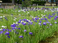 しょうぶ沼公園